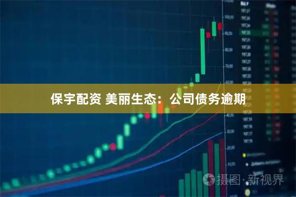 保宇配资 美丽生态：公司债务逾期
