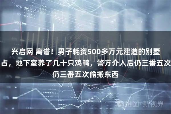 兴启网 离谱！男子耗资500多万元建造的别墅被邻居强占，地下室养了几十只鸡鸭，警方介入后仍三番五次偷搬东西